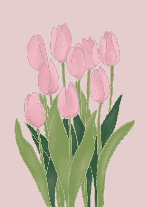 Tulips